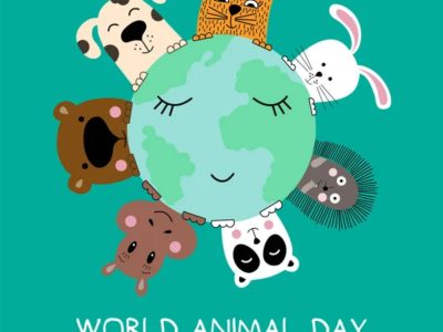 10月4日 世界動物愛護デーに寄せて?