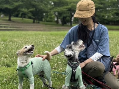 DAY遠征セッション2025年6月24日 ☁️