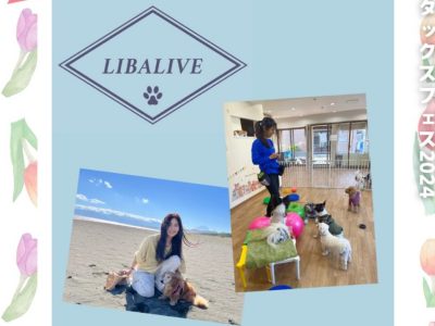 しつけ相談特別ブース　申し込み受付中