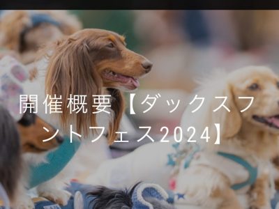 ダックスフェス　２０２４　ステージ登壇します