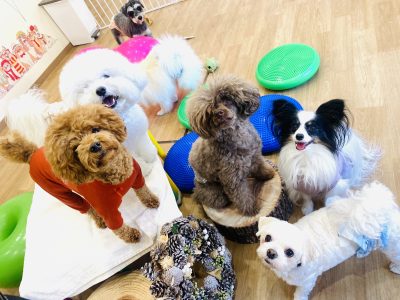 LIBALIVE　フォローアップclass2024/12/6