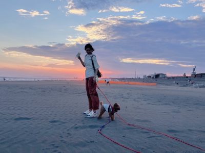 【外で吠えてしまう理由と、落ち着いて歩ける未来への地図】