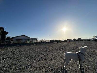 犬との共生　急がずに　ながれのままにもいいね