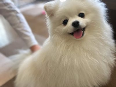 触られる事が嫌なのではなくタイミングを尊重してますか？