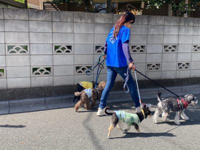 ハウスドッグ?class　2024/4/19