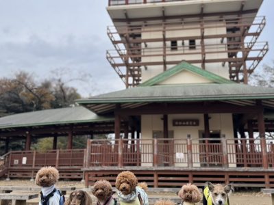 DAY預かりセッション　12月13日　CloudyDAY☀️　　冬の入り口