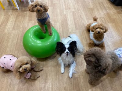 ハウスドッグ?CLASS　2023/12/8