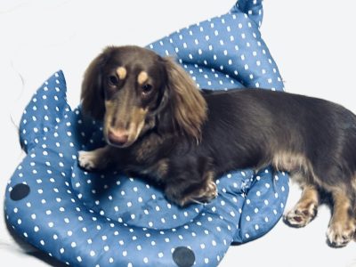 問題だと思ってもやってみなくちゃ分からない