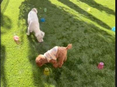 私たちとの生活とは、ルールは実は違う！改めて矛盾を考えてあげよう。