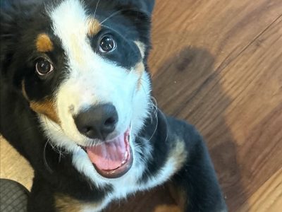 センターポジションのレッスンで「心の安心と体の軸」を育てる日