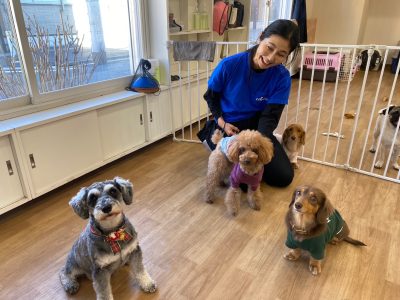 ハウスドッグ?class2023/12/29