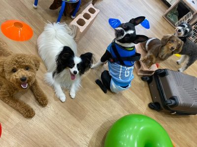 ハウスドッグ?CLASS　2023/9/15  FRYDAY★