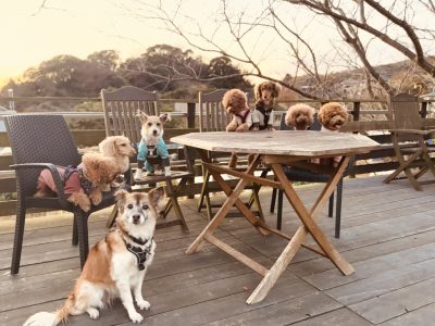 DAY預かりセッション　　12月26日 ☀️sunnyday