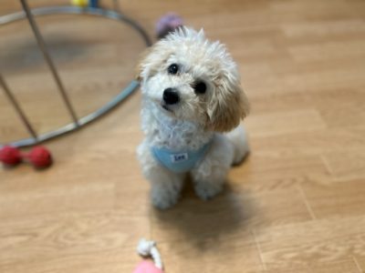 落ち着く事　それも学びから得るべき