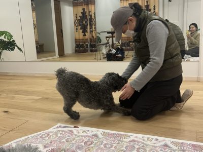 リバライブの犬の整体　イベント満員終了しました
