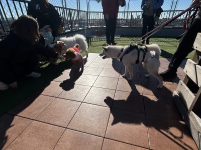リバライブ　新年ドッグランイベント　たくさんのご参加に感謝です❣