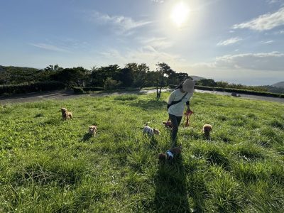 DAY預かり葉山遠征へ　2024/9/24