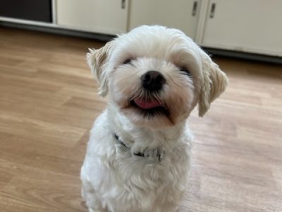 HouseDog?CLASS　2023/9/29の模様！