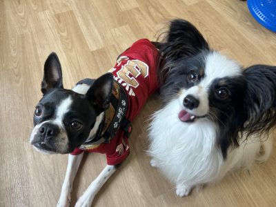 2024/9/20 フォローアップclass