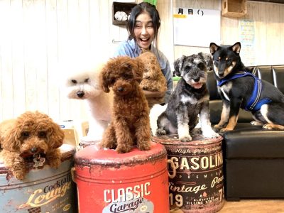 LIBALIVEによるグループレッスンのお知らせ