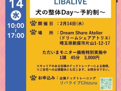 リバライブドッグ?整体の活動について