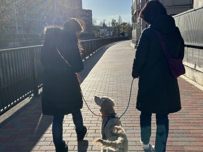 パピー散歩の考え方。慌てるな。