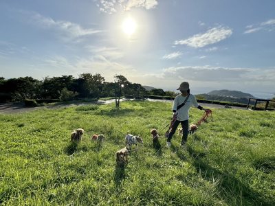 犬は外が好き　心もお外で育つことが必須