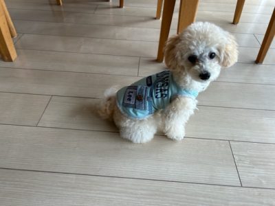 パピーの成長スピードを貴重に！！