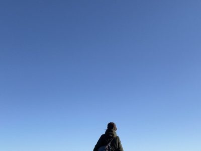 犬を変えるより、関係が整う方がずっと早い。