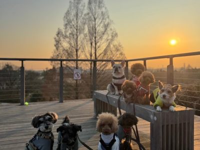 DAY遠征セッション2025年1月24日