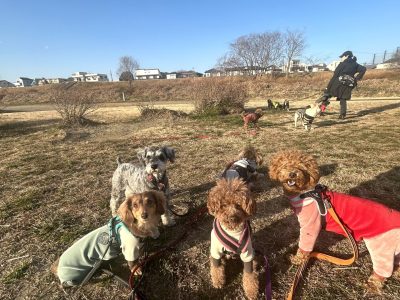 DAY遠征セッション2025年1月31日