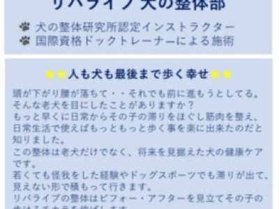 LIBALIVE 犬の整体部　モニターイベントスタート