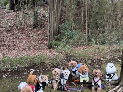 DAY遠征セッション 2025年2月3日