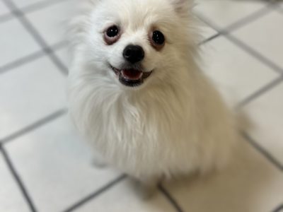 トレーニングレッスンは短期的ではなく長いお付き合いであることがベストです