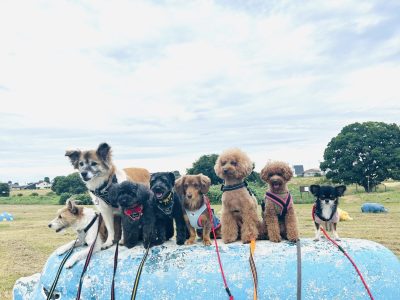 DAY預かりセッション　１０月１６日の報告