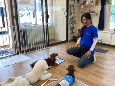 2024/6/15ハウスドッグ?クラス