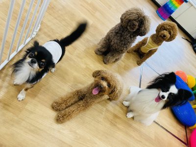 フォローアップclass　１０月１８日