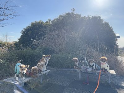 遠征セッション2025年2月18日 ☁️cloud day