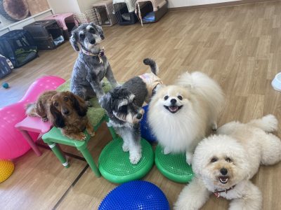 フォローアップクラス　2024/10/20