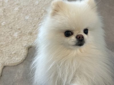 日常の何気ない言葉行動がシグナルになっている事がある。