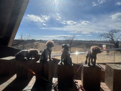 お預かりグループセッション　　DAY遠征セッション 2025年2月20日