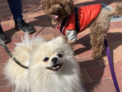 日常生活の問題行動って、本当に問題なのだろうか？を考えよう