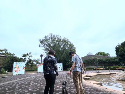 お外で犬が飼い主にコンタクトをとる必要はないんです