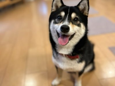 お家でのコミュニケーションは工夫次第