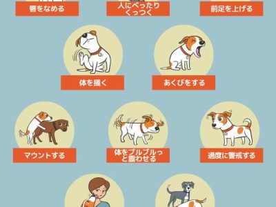 愛犬から目を離さない