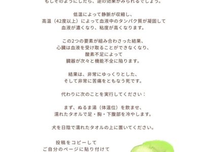 熱中症対策　Vibekereese先生より