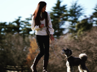 あけましておめでとうございます