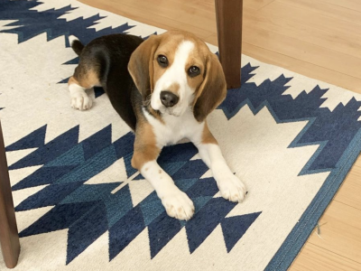 パーソナルレッスン