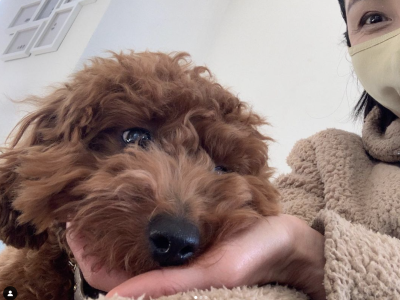 リラックスして人と関わる事