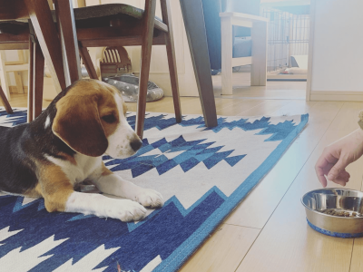 パーソナルレッスン